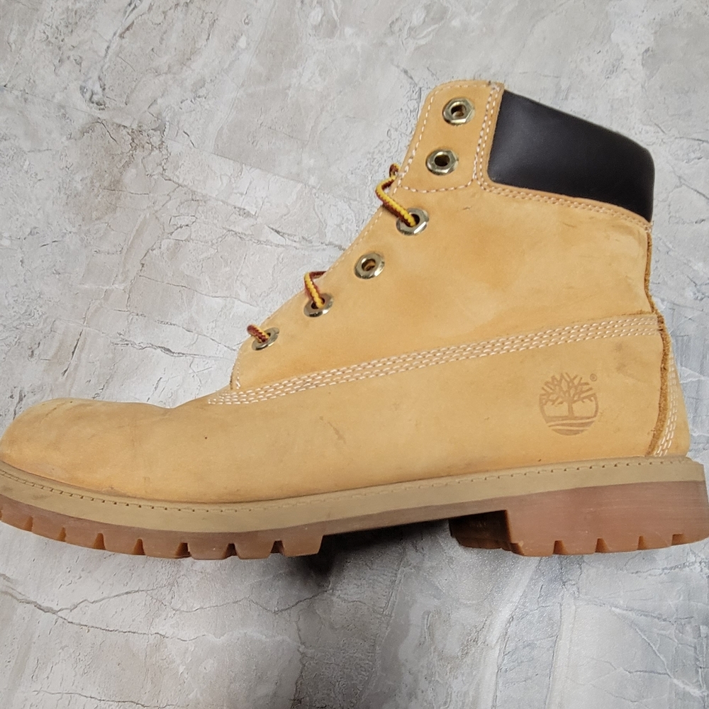 Timberland Premium 6" boots